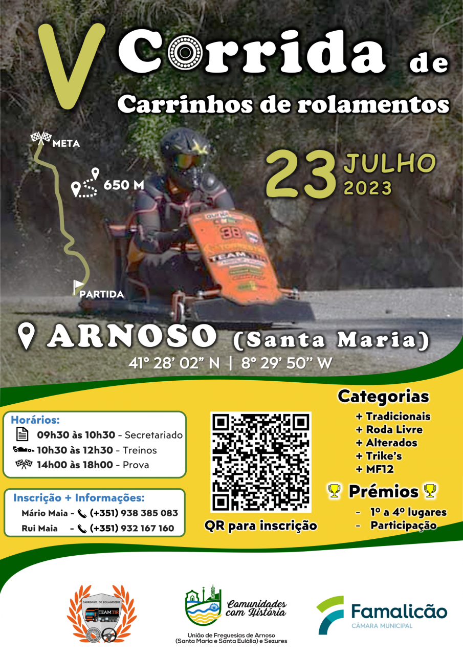 V Corrida de Carrinhos de Rolamentos em Arnoso Santa Maria